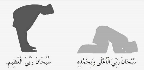 Bacaan Ruku dan Sujud Sesuai Sunnah Lengkap dengan Latin beserta Artinya